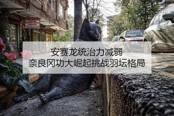 安赛龙统治力减弱 奈良冈功大崛起挑战羽坛格局